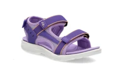 IN2 3404 PURPLE