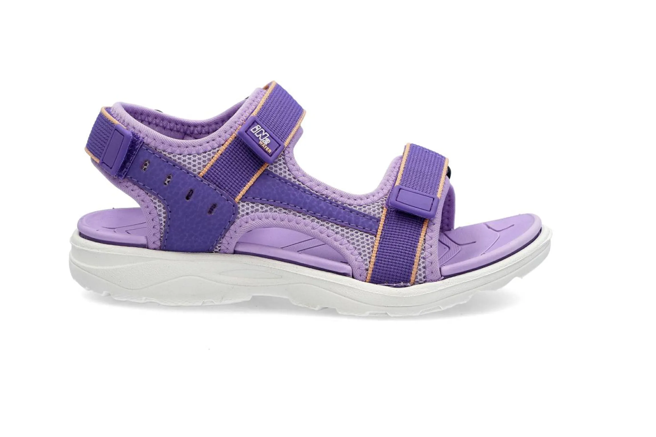 IN2 3404 PURPLE